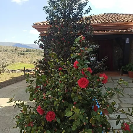 Casa Rural Los Olivos-2