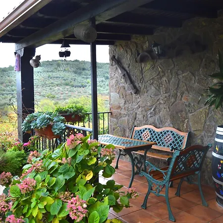 Casa Rural Los Olivos-3
